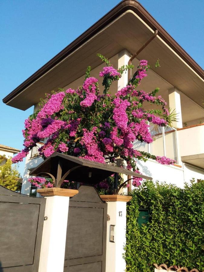 La Bouganville Di Sante E Rosa Manoppello 外观 照片