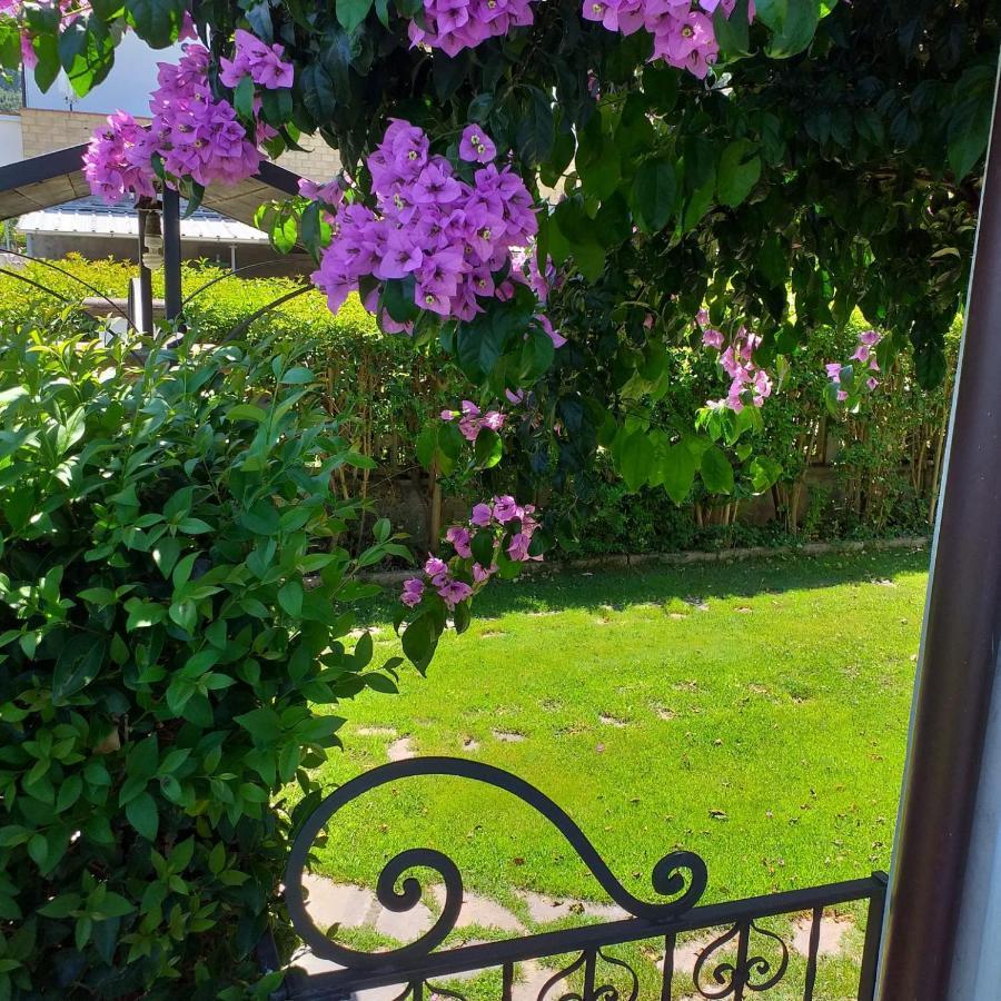La Bouganville Di Sante E Rosa Manoppello 外观 照片